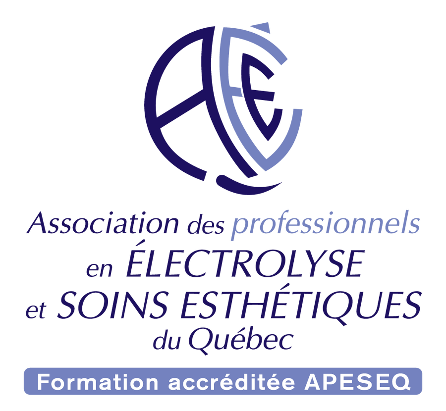 NOUVELLE FORMULE - TEST D'ADMISSION REQUIS - Formation sourcils ultra réalistes - Chez l'institut Permavie à Ste-Thérèse - 29-30 Nov & 01 Déc 2024 - Prix total 5974,25$ tx inc ( 50$ de dépôt )