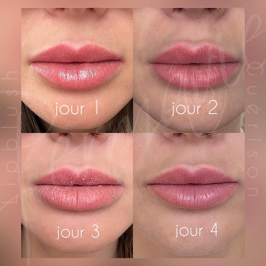 Formation de Lip Blush - Région de Blainville - 9 au 11 Décembre et 27 Décembre 2024 - Prix total 3449.25$ tx inc ( -1000$ de dépôt )